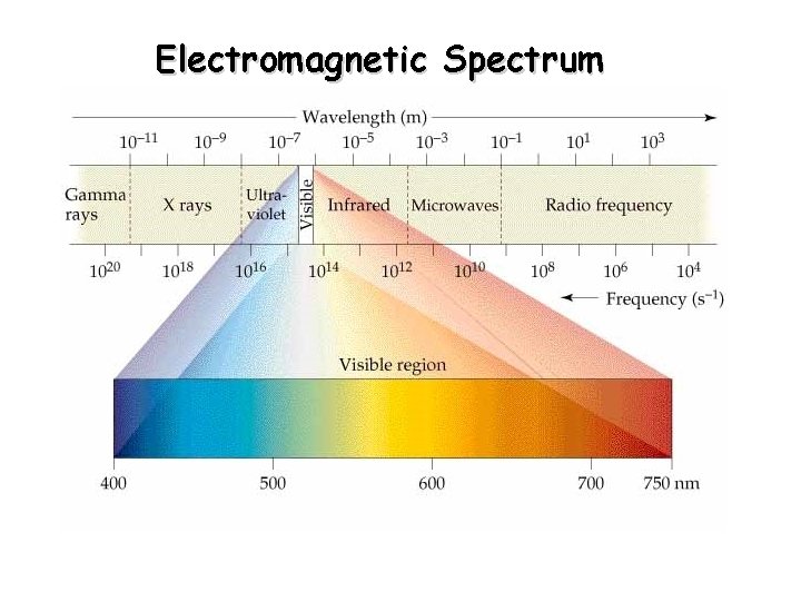 Electromagnetic Spectrum 