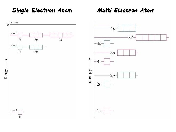 Single Electron Atom Multi Electron Atom 