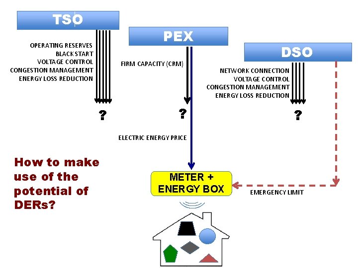 TSO PEX OPERATING RESERVES BLACK START VOLTAGE CONTROL CONGESTION MANAGEMENT ENERGY LOSS REDUCTION FIRM