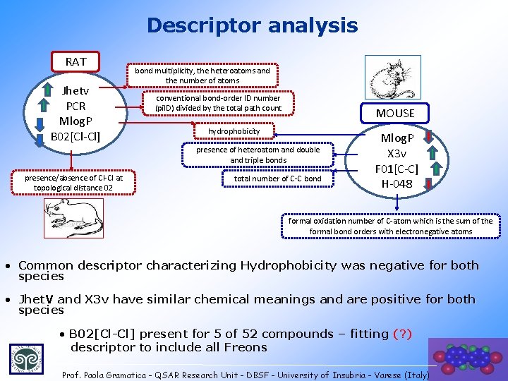 Descriptor analysis RAT Jhetv PCR Mlog. P B 02[Cl-Cl] bond multiplicity, the heteroatoms and