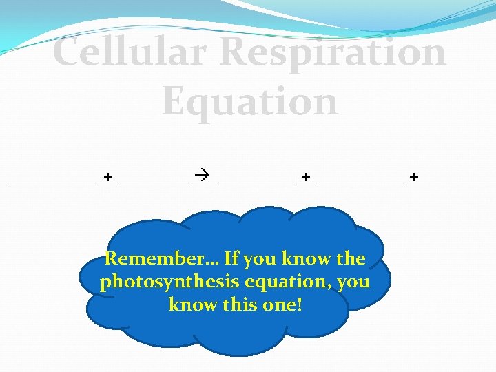 Cellular Respiration Equation _____ + _____ +____ Remember… If you know the photosynthesis equation,