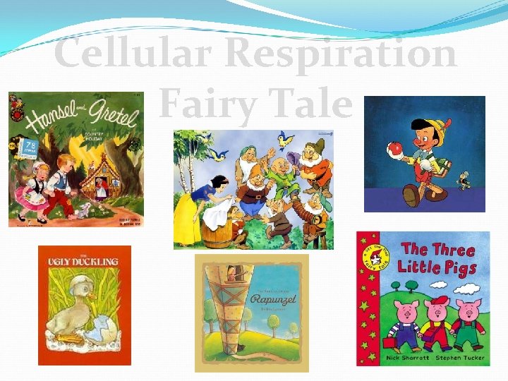 Cellular Respiration Fairy Tale 