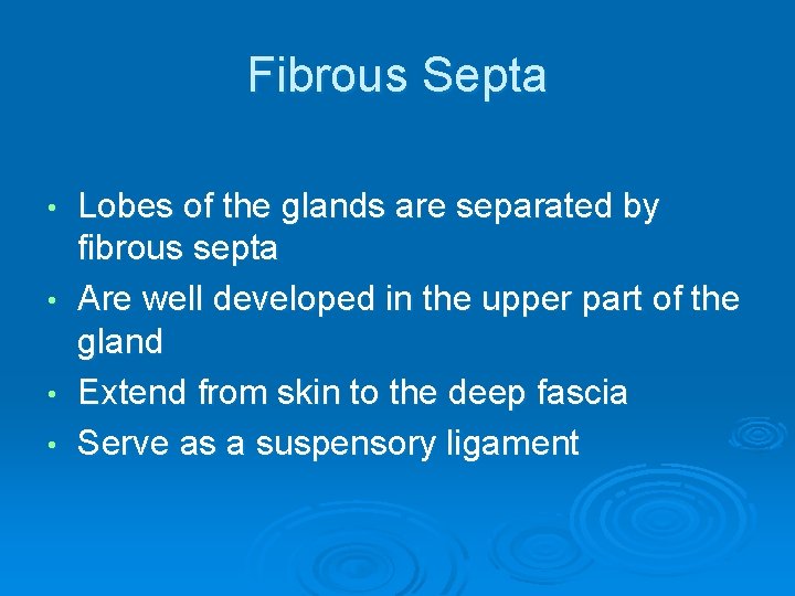 Fibrous Septa • • Lobes of the glands are separated by fibrous septa Are