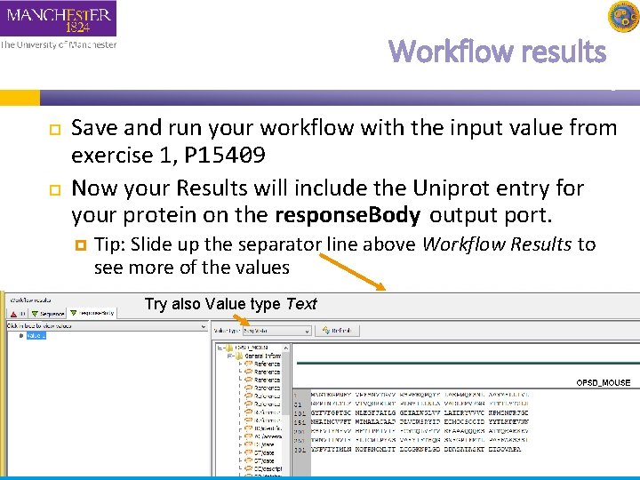 Workflow results Save and run your workflow with the input value from exercise 1,
