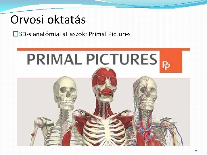 Orvosi oktatás � 3 D-s anatómiai atlaszok: Primal Pictures 9 