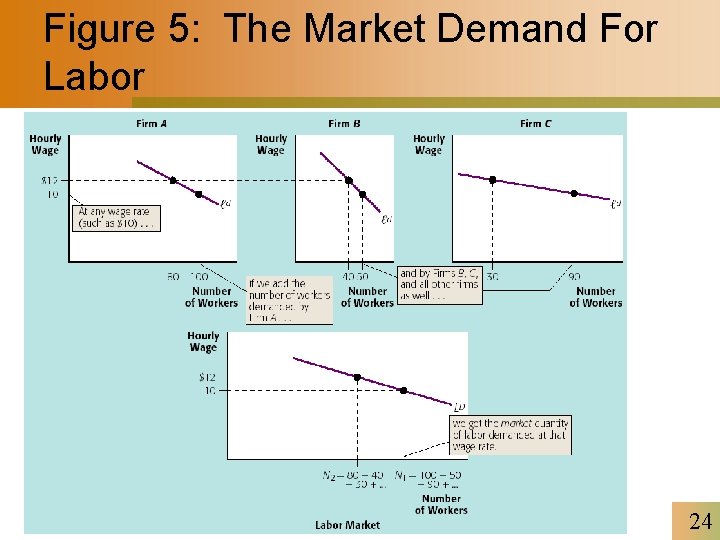 Figure 5: The Market Demand For Labor 24 