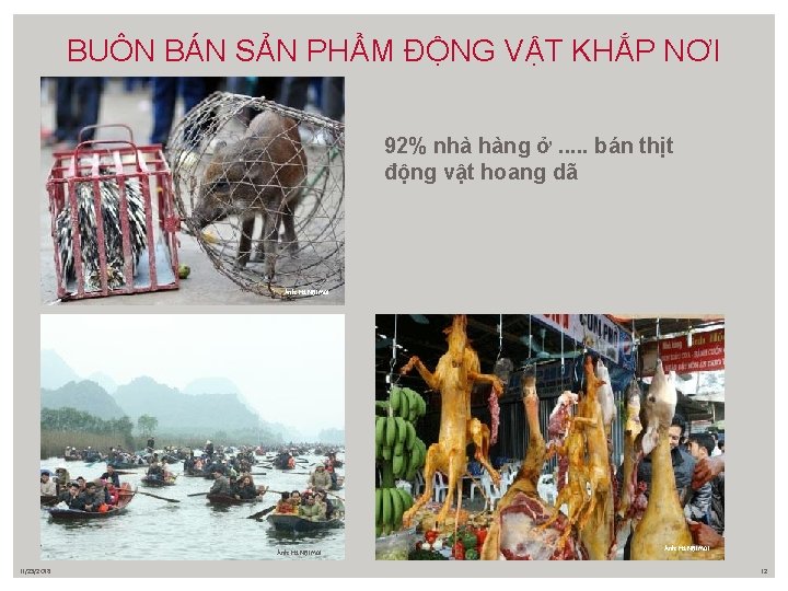 BUÔN BÁN SẢN PHẨM ĐỘNG VẬT KHẮP NƠI 92% nhà hàng ở. . .