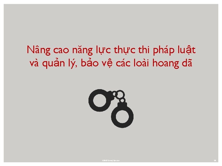 Nâng cao năng lực thi pháp luật và quản lý, bảo vệ các loài