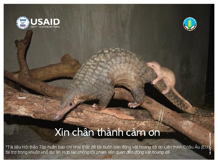 Ảnh: Save Vietnam’s Wildlife Xin chân thành cảm ơn *Tài liệu Hội thảo Tập