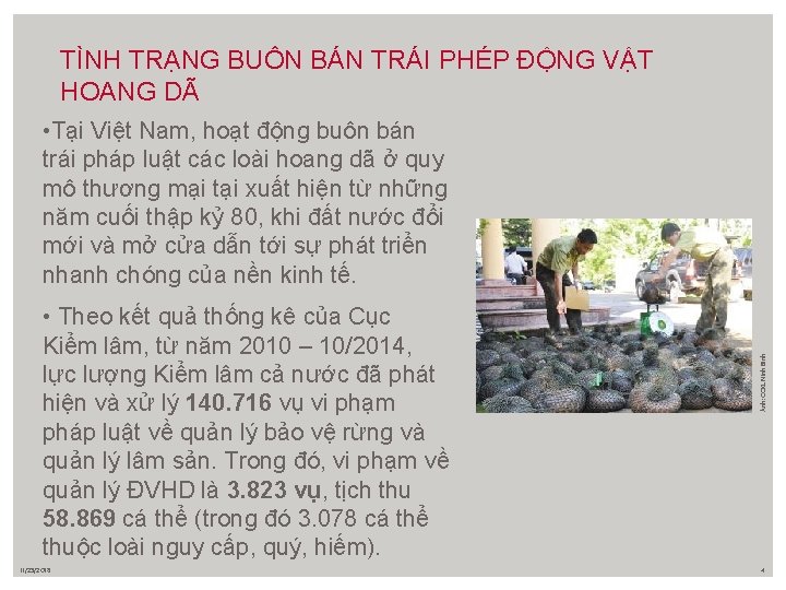 TÌNH TRẠNG BUÔN BÁN TRÁI PHÉP ĐỘNG VẬT HOANG DÃ • Theo kết quả