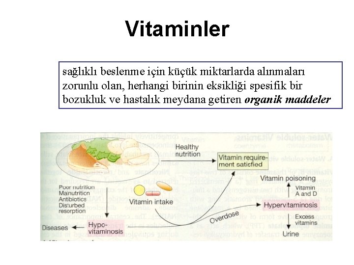 Vitaminler sağlıklı beslenme için küçük miktarlarda alınmaları zorunlu olan, herhangi birinin eksikliği spesifik bir