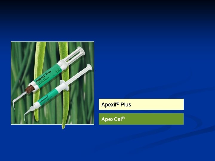 Apexit® Plus Apex. Cal® 
