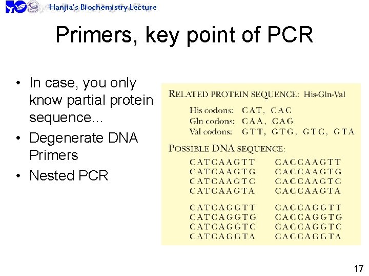 Hanjia’s Biochemistry Lecture Primers, key point of PCR • In case, you only know
