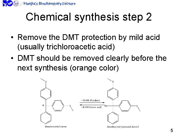 Hanjia’s Biochemistry Lecture Chemical synthesis step 2 • Remove the DMT protection by mild