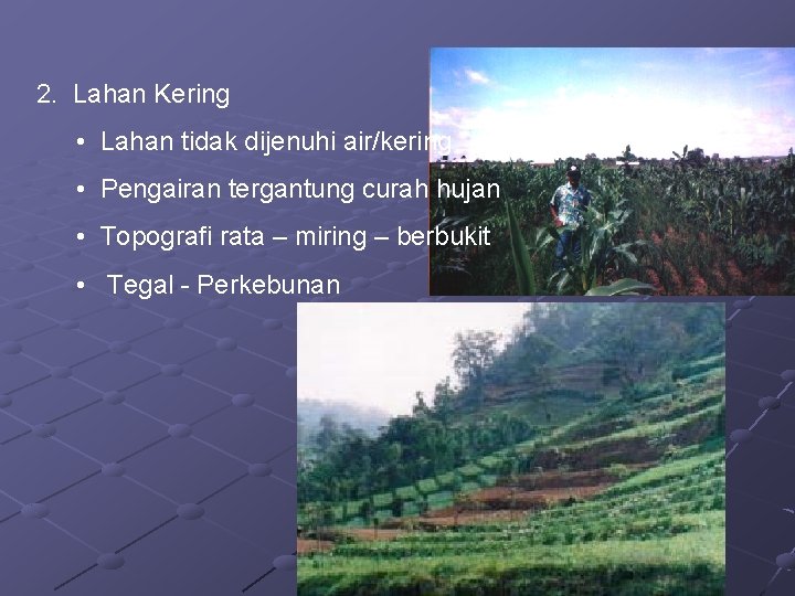 2. Lahan Kering • Lahan tidak dijenuhi air/kering • Pengairan tergantung curah hujan •