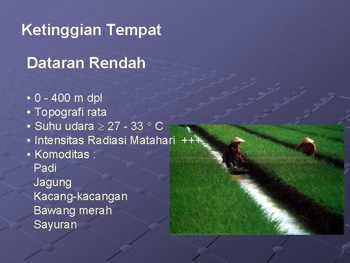 Ketinggian Tempat Dataran Rendah • 0 - 400 m dpl • Topografi rata •