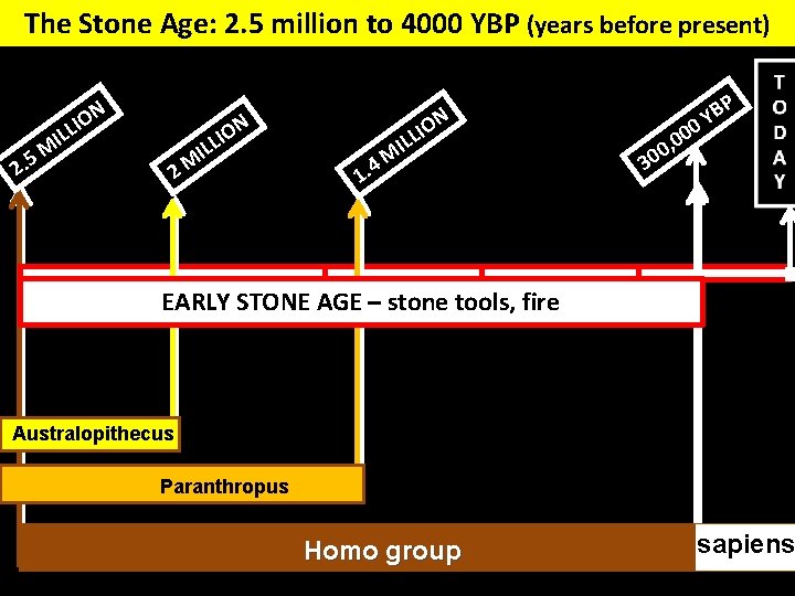 The Stone Age: 2. 5 million to 4000 YBP (years before present) N O