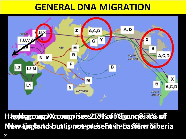 GENERAL DNA MIGRATION Haplogroup. XXcomprises 25% 15%of of. Algonquians Sioux & 7% of Haplogroup