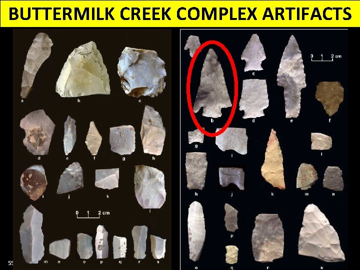 BUTTERMILK CREEK COMPLEX ARTIFACTS 55 