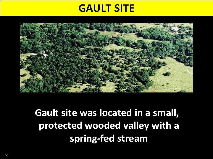 GAULT SITE Gault site was located in a small, protected wooded valley with a