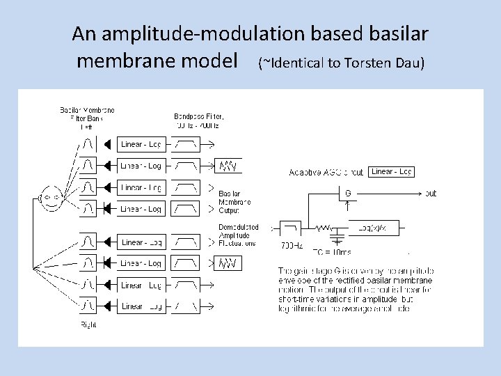 An amplitude-modulation based basilar membrane model (~Identical to Torsten Dau) 