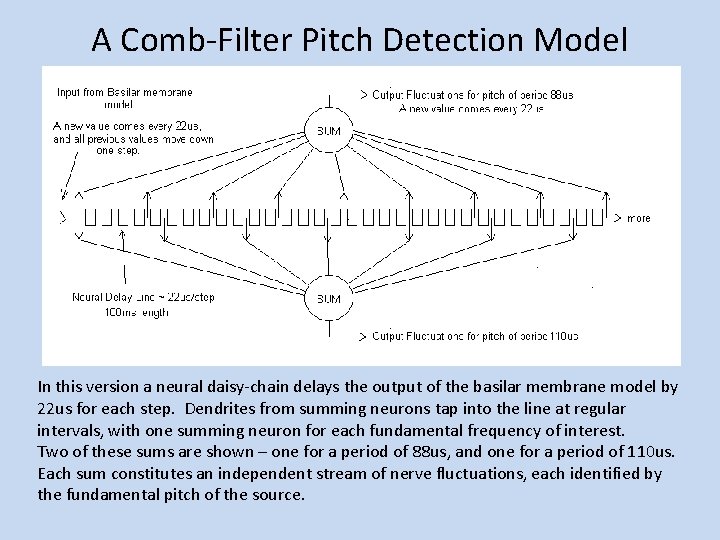 A Comb-Filter Pitch Detection Model In this version a neural daisy-chain delays the output