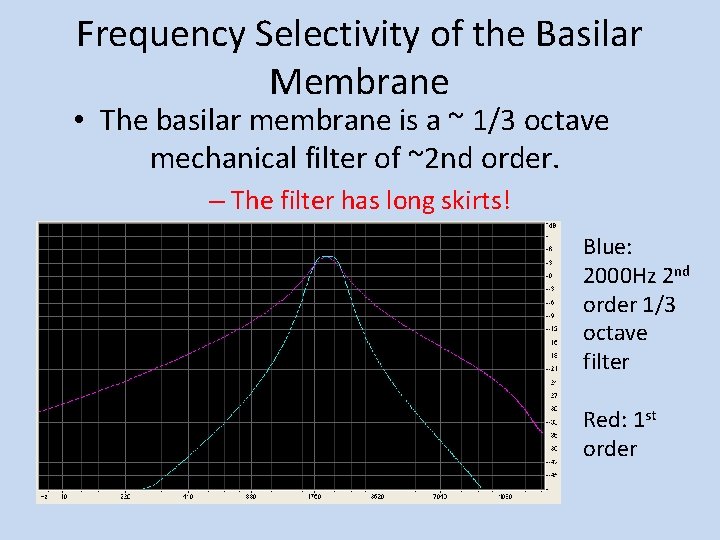 Frequency Selectivity of the Basilar Membrane • The basilar membrane is a ~ 1/3