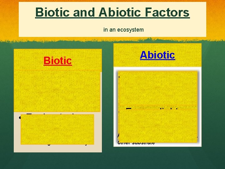 Biotic and Abiotic Factors in an ecosystem Biotic • Everything that is living or