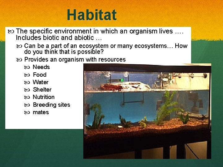 Habitat The specific environment in which an organism lives …. Includes biotic and abiotic