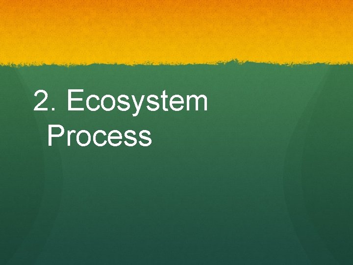 2. Ecosystem Process 