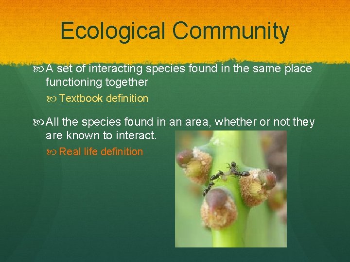 Ecological Community A set of interacting species found in the same place functioning together