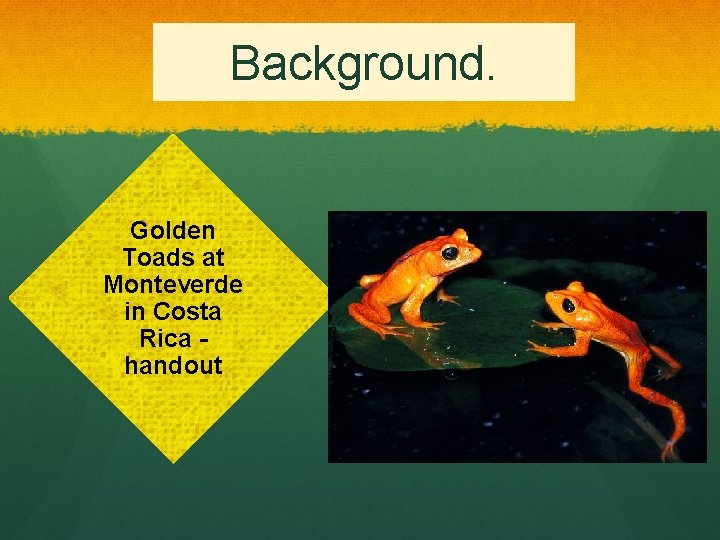 Background. Golden Toads at Monteverde in Costa Rica handout 