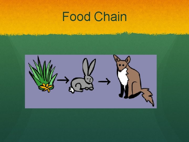 Food Chain 