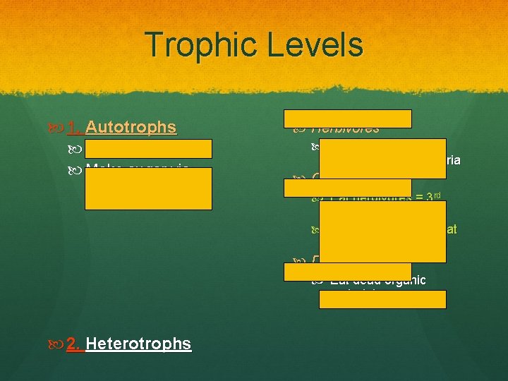 Trophic Levels 1. Autotrophs “self- nourishing” Make sugar via photosynthesis Herbivores Eat plants, algae,