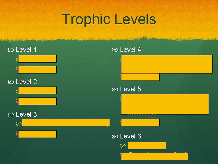 Trophic Levels Level 1 Autotrophs Ex: oak tree Level 2 Herbivores Ex: mouse Level