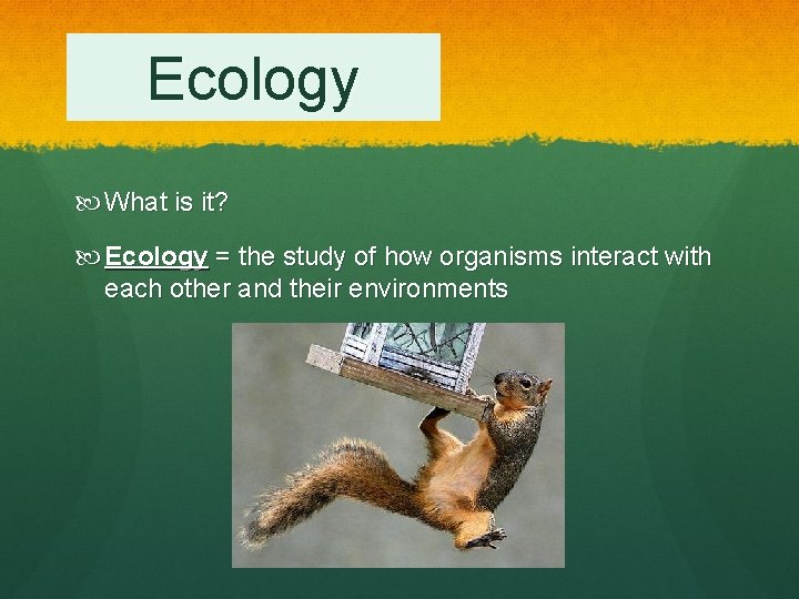 Ecology What is it? Ecology = the study of how organisms interact with each