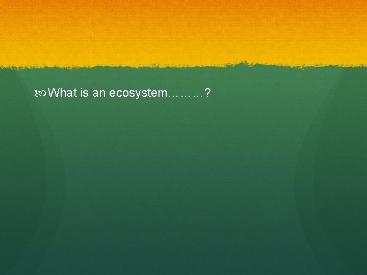  What is an ecosystem………? 