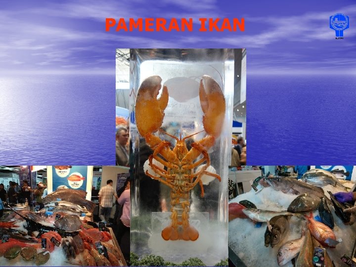 PAMERAN IKAN 10/29/2021 Persatuan Nelayan Kebangsaan (NEKMAT) 9 