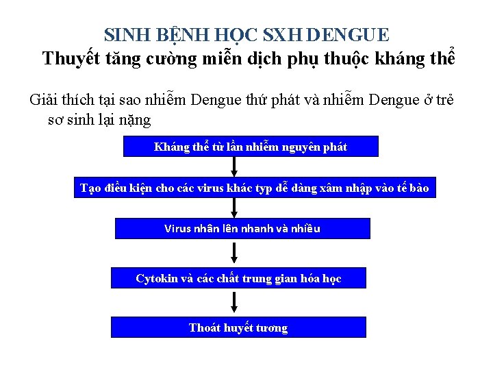 SINH BỆNH HỌC SXH DENGUE Thuyết tăng cường miễn dịch phụ thuộc kháng thể