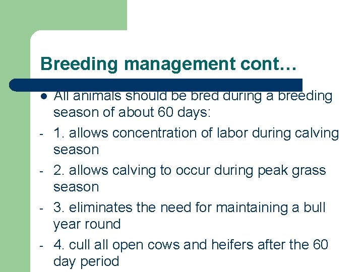 Breeding management cont… l - All animals should be bred during a breeding season
