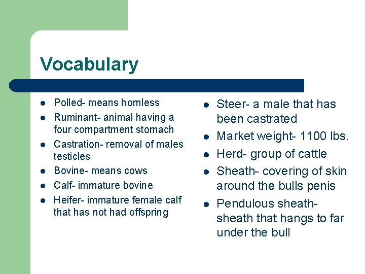 Vocabulary l l l Polled- means hornless Ruminant- animal having a four compartment stomach