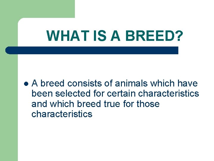 WHAT IS A BREED? l A breed consists of animals which have been selected