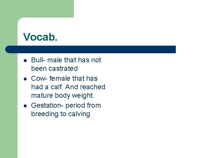 Vocab. l l l Bull- male that has not been castrated Cow- female that