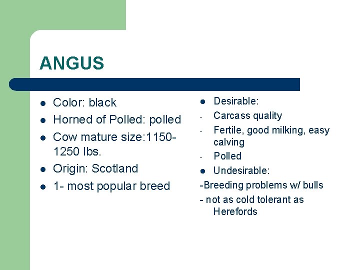 ANGUS l l l Color: black Horned of Polled: polled Cow mature size: 11501250