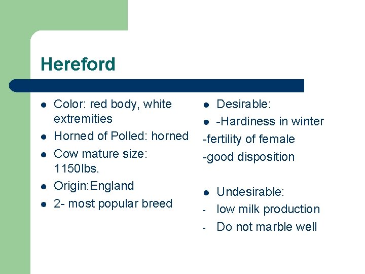Hereford l l l Color: red body, white extremities Horned of Polled: horned Cow