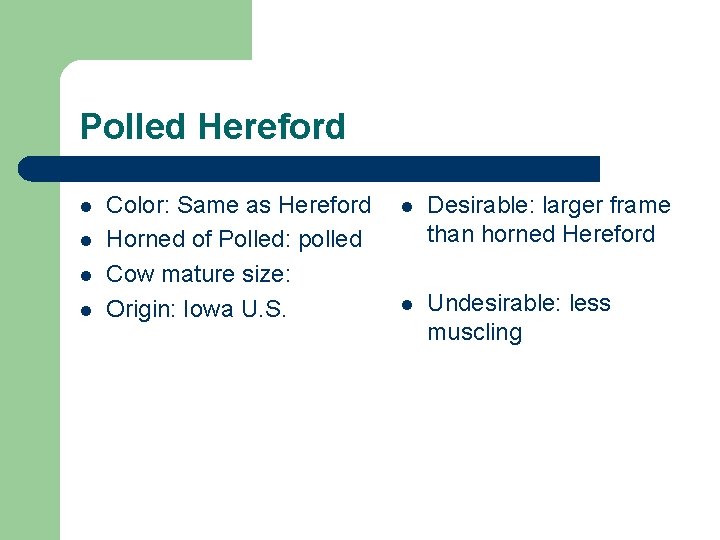 Polled Hereford l l Color: Same as Hereford Horned of Polled: polled Cow mature