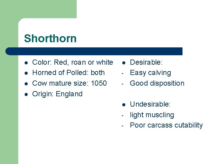 Shorthorn l l Color: Red, roan or white Horned of Polled: both Cow mature