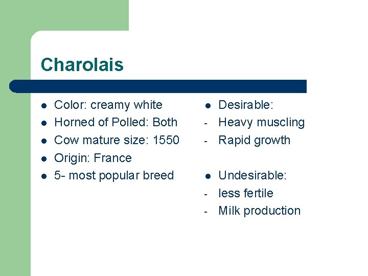 Charolais l l l Color: creamy white Horned of Polled: Both Cow mature size: