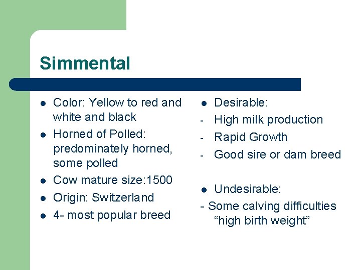 Simmental l l Color: Yellow to red and white and black Horned of Polled: