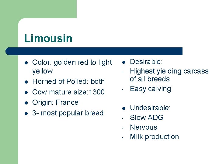 Limousin l l l Color: golden red to light yellow Horned of Polled: both